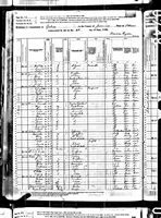 Louesa Lehner - 1880 United States Federal Census