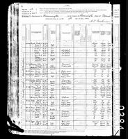 Lucy Caroline HARVEY - 1880 United States Federal Census